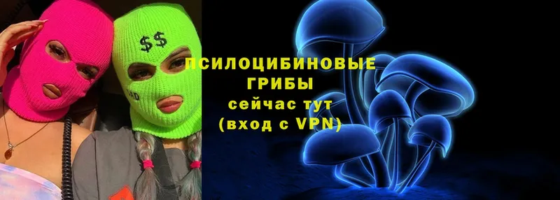 OMG сайт  Дзержинский  Псилоцибиновые грибы MAGIC MUSHROOMS  купить закладку 